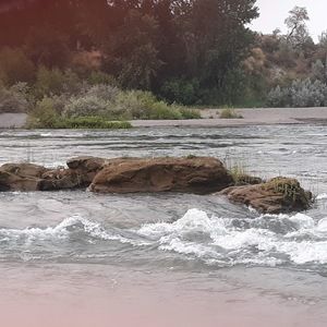 Meet your Posher, Bella